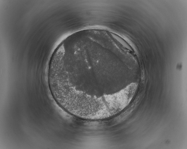 X0000095511054200801111409
