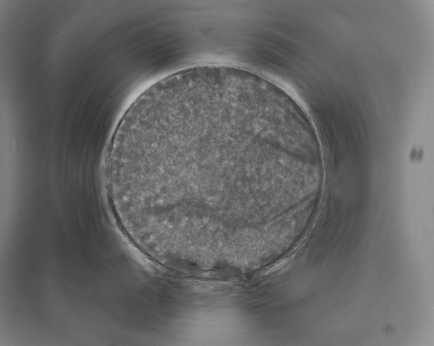 X0000095511056200801111409