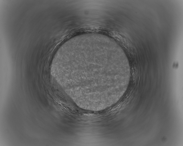 X0000095511057200801111408