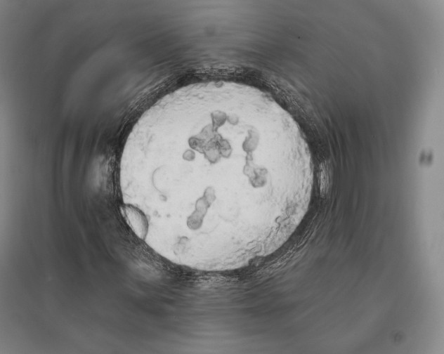 X0000095511059200801111408