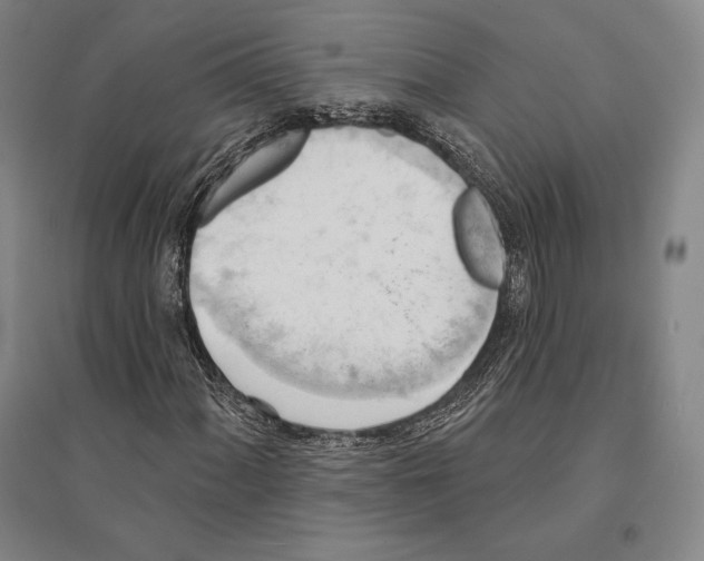 X0000095511060200801111408
