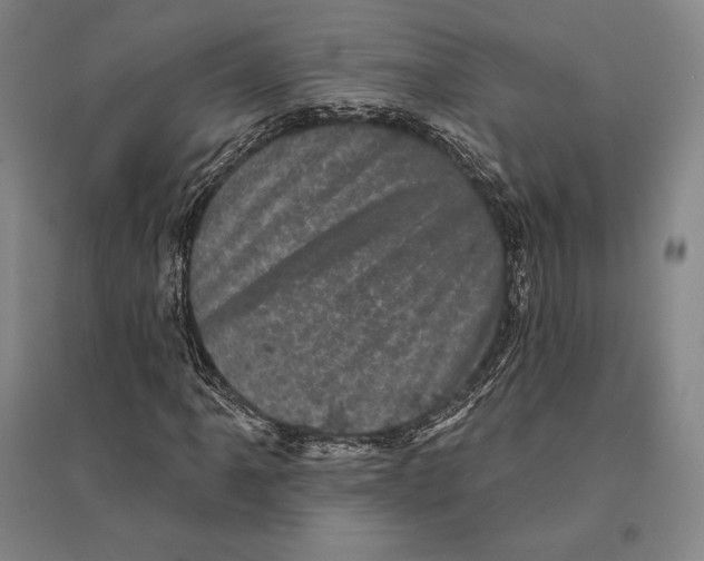 X0000095511061200801111408