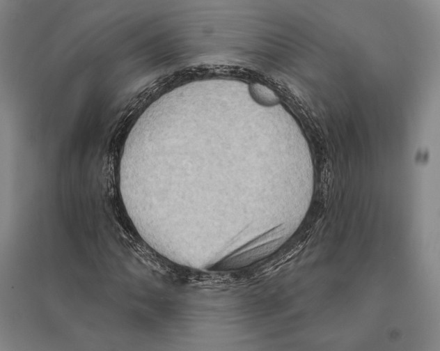 X0000095511062200801111408
