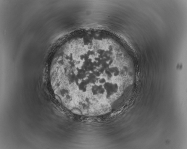 X0000095511063200801111408