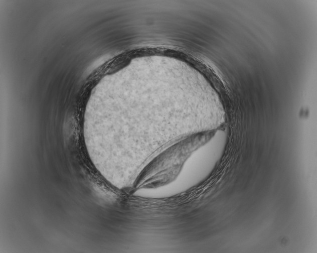 X0000095511064200801111408