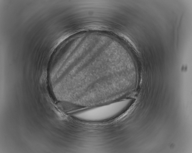 X0000095511065200801111408