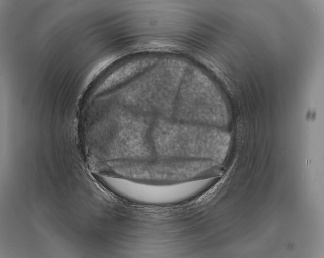 X0000095511066200801111408