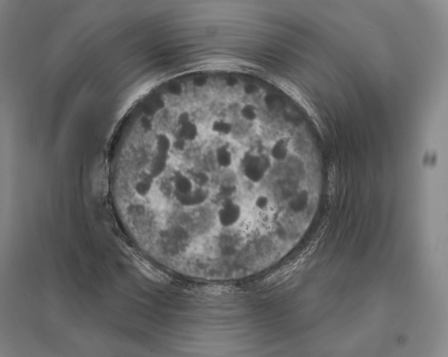 X0000095511067200801111408