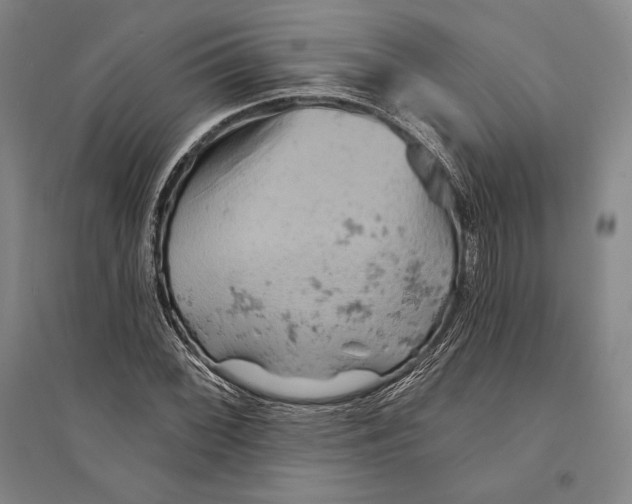 X0000095511068200801111408