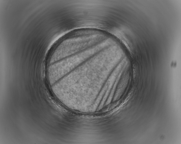 X0000095511069200801111408