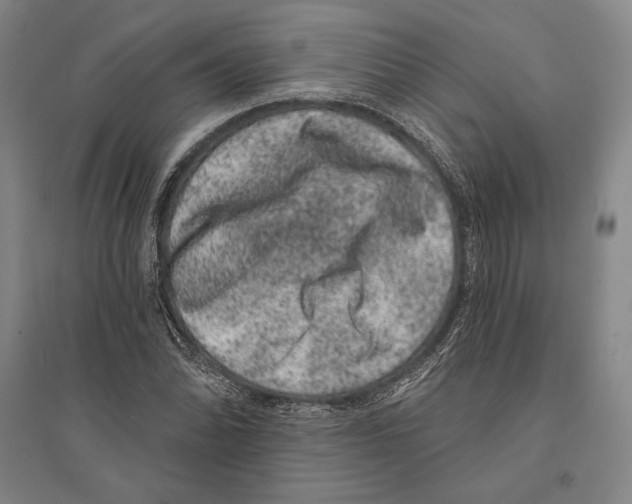 X0000095511070200801111408