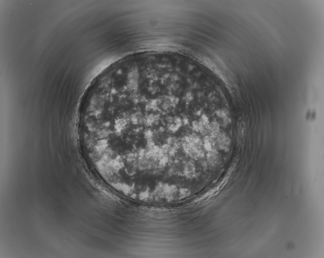 X0000095511071200801111408