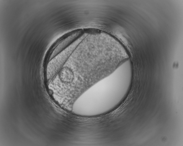 X0000095511072200801111408