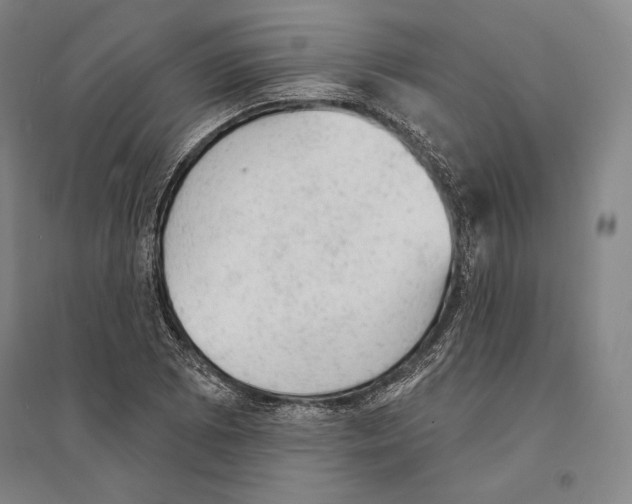 X0000095511073200801111408