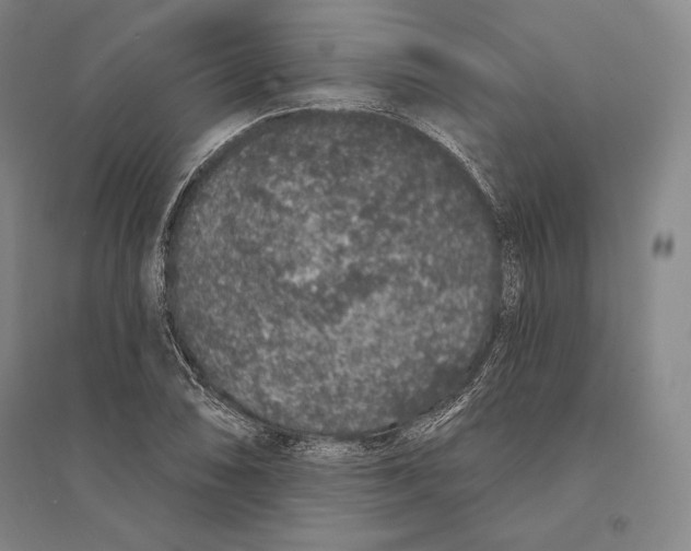 X0000095511074200801111408