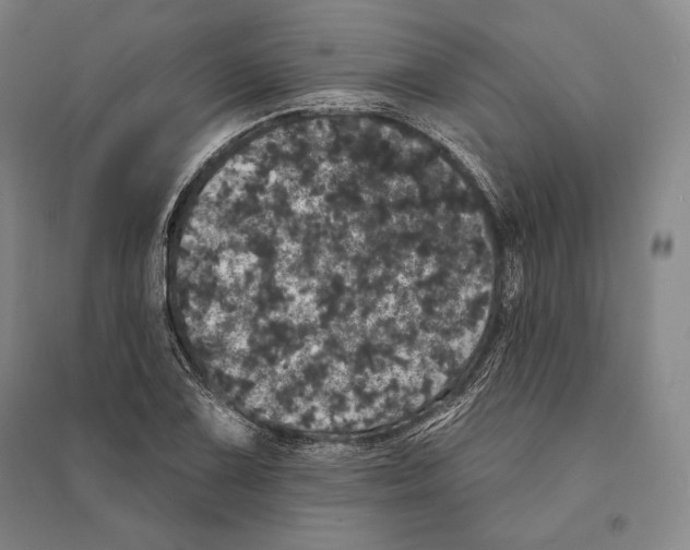 X0000095511075200801111408