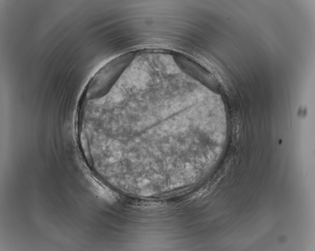 X0000095511076200801111408