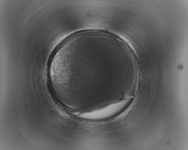 X0000095511077200801111408