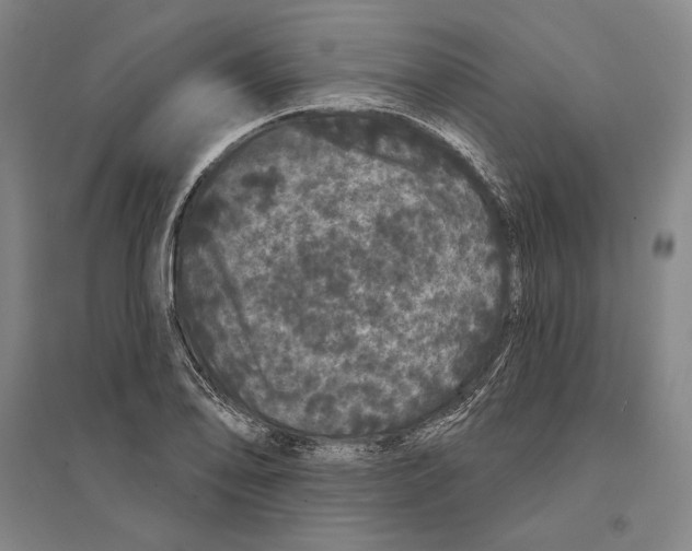 X0000095511078200801111408