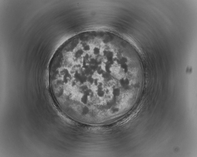 X0000095511079200801111408