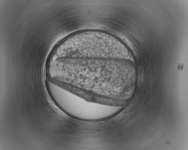 X0000095511080200801111408