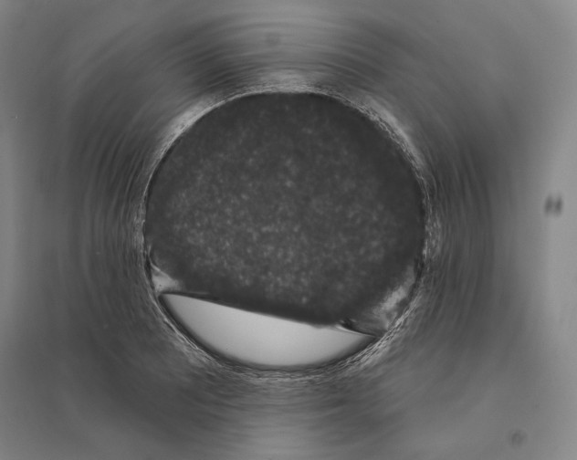 X0000095511081200801111408