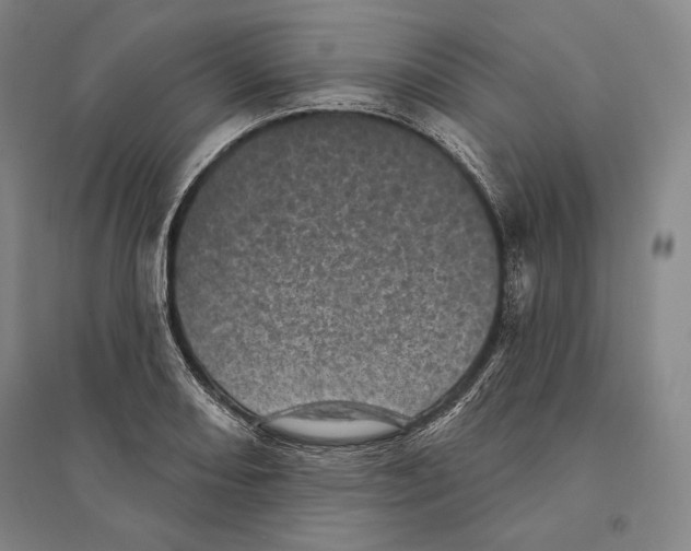 X0000095511082200801111408