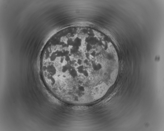 X0000095511083200801111408