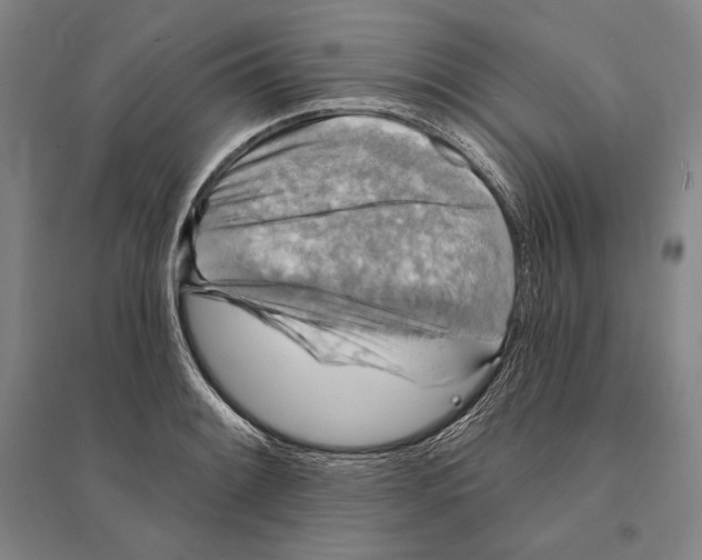 X0000095511084200801111408