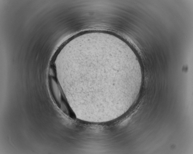 X0000095511085200801111408