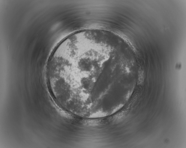 X0000095511086200801111408