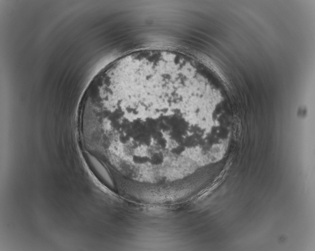 X0000095511087200801111408