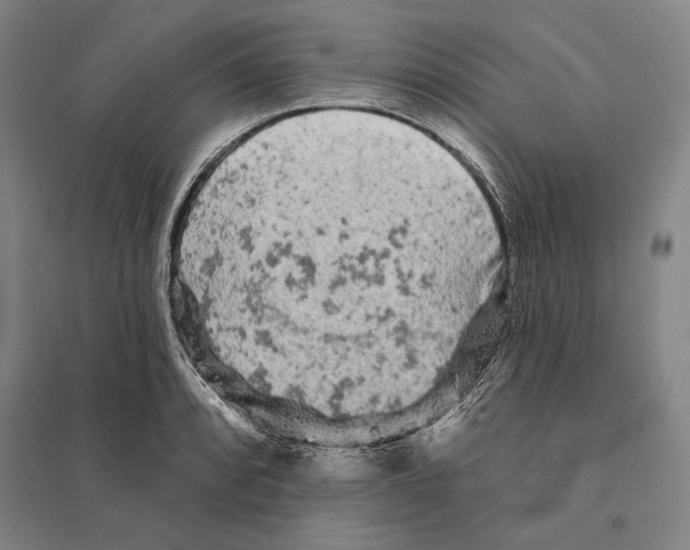 X0000095511088200801111408