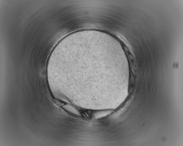 X0000095511089200801111408