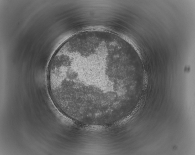 X0000095511090200801111408