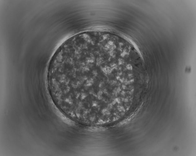 X0000095511091200801111408
