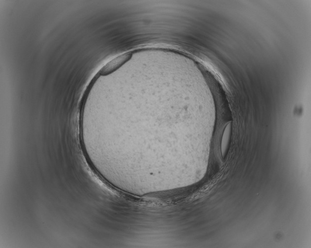 X0000095511092200801111408