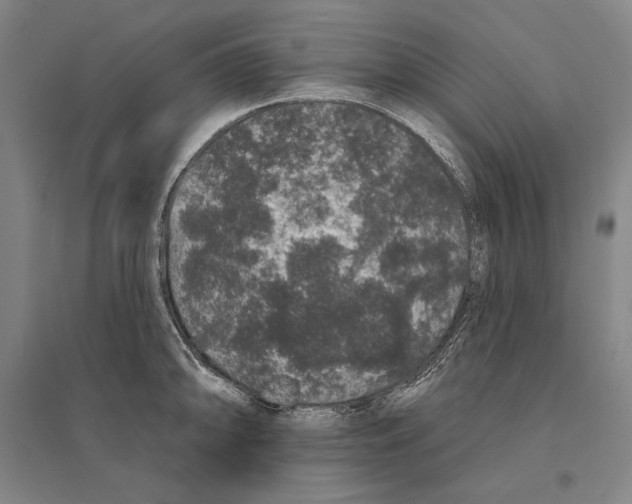 X0000095511094200801111408