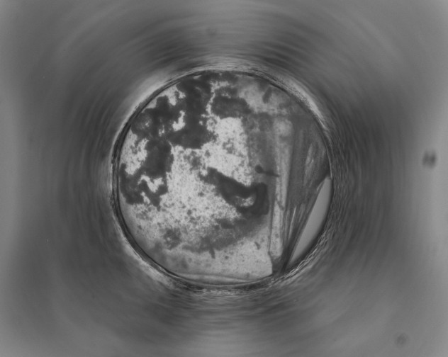 X0000095511095200801111408