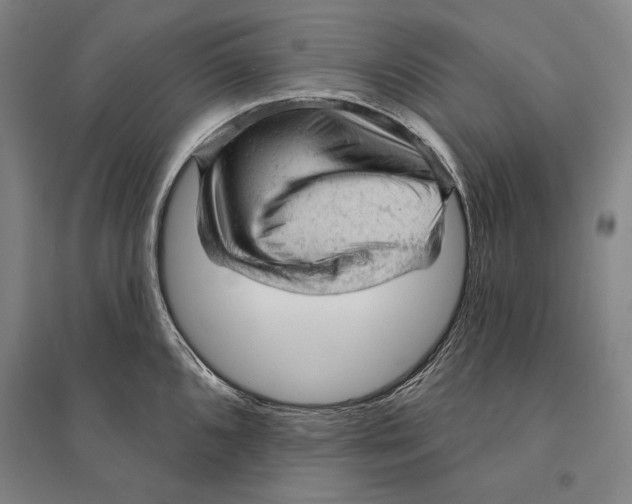 X0000095511096200801111408