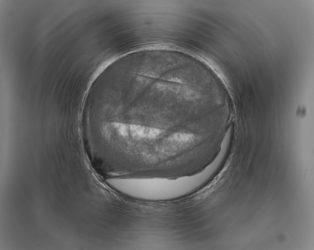 X0000095511097200801111408