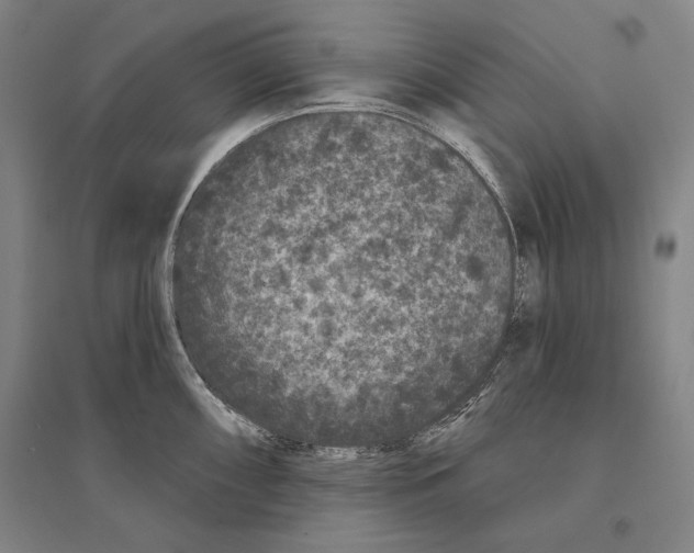 X0000095511098200801111408