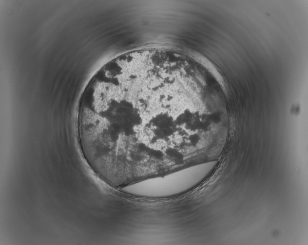 X0000095511099200801111408