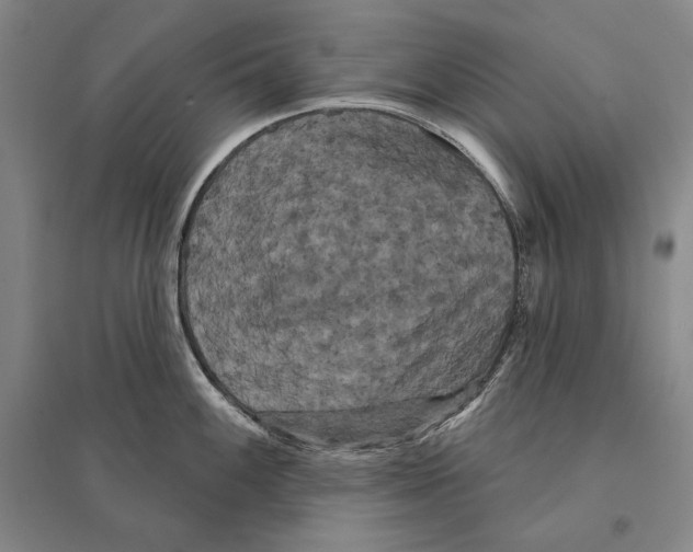 X0000095511100200801111408