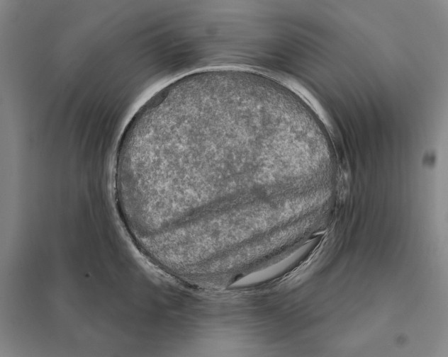 X0000095511101200801111408