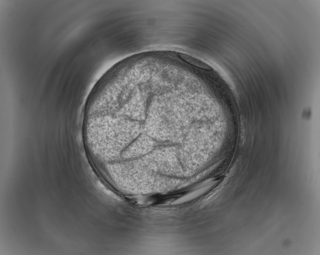 X0000095511102200801111408