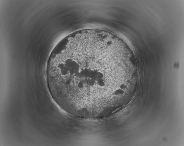 X0000095511103200801111408