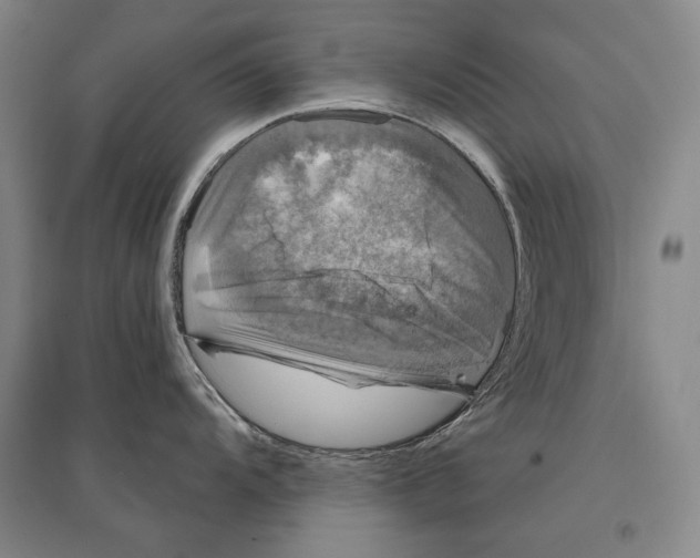 X0000095511104200801111408