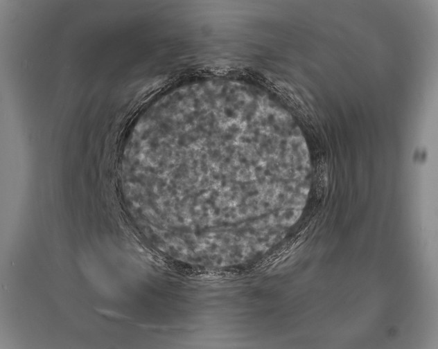X0000095511105200801111407