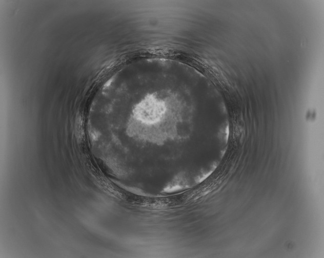 X0000095511106200801111407
